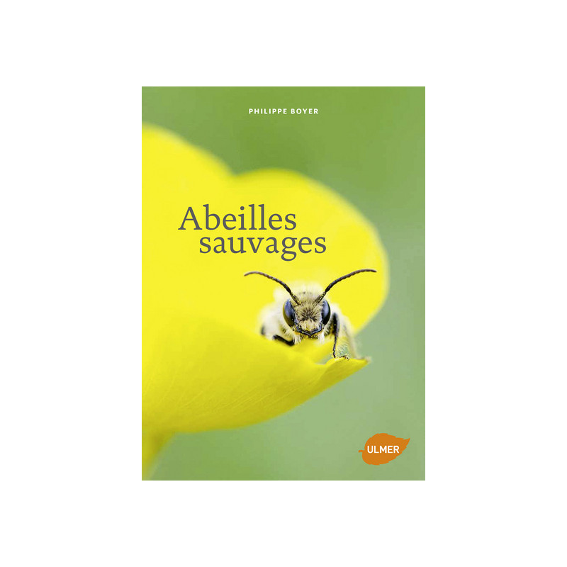 Abeilles sauvages