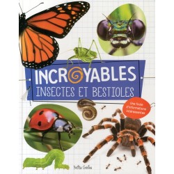 Incroyables insectes et...