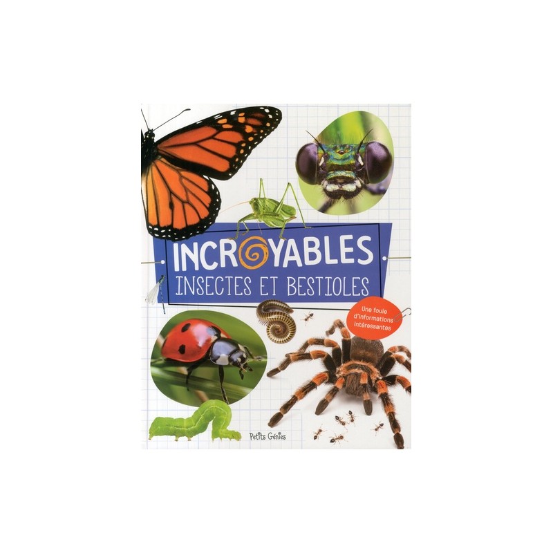 Incroyables insectes et bestioles